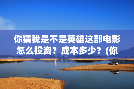 你猜我是不是英雄这部电影怎么投资？成本多少？(你猜我是不是英雄)