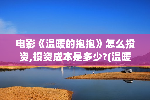 电影《温暖的抱抱》怎么投资,投资成本是多少?(温暖的抱 720p)