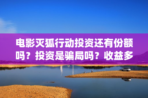 电影灭狐行动投资还有份额吗？投资是骗局吗？收益多少？(灭狐行动主演)