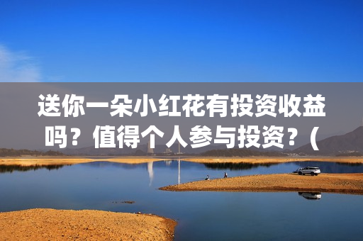 送你一朵小红花有投资收益吗？值得个人参与投资？(送你一朵小红花歌词)