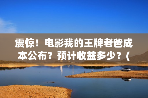 震惊！电影我的王牌老爸成本公布？预计收益多少？(我的震撼)