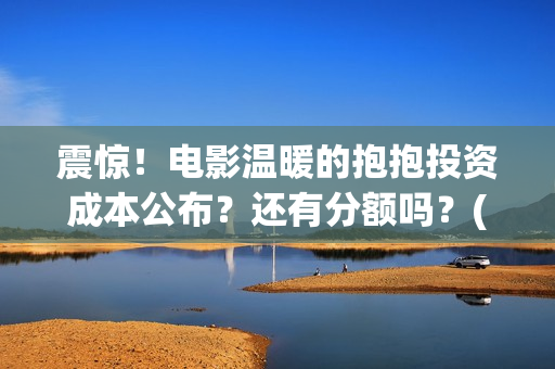 震惊！电影温暖的抱抱投资成本公布？还有分额吗？(温暖电影排行榜前十名)