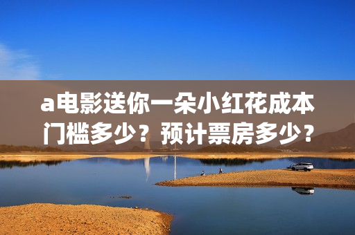 a电影送你一朵小红花成本门槛多少？预计票房多少？(送你一朵花完整版)