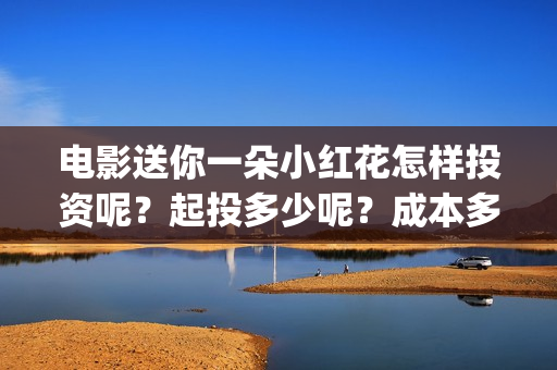电影送你一朵小红花怎样投资呢？起投多少呢？成本多少(电影送你一朵小红花完整版免费观看)