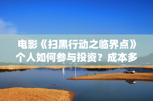 电影《扫黑行动之临界点》个人如何参与投资？成本多少？还有份额吗？(电影扫黑行动免费观看完整版)