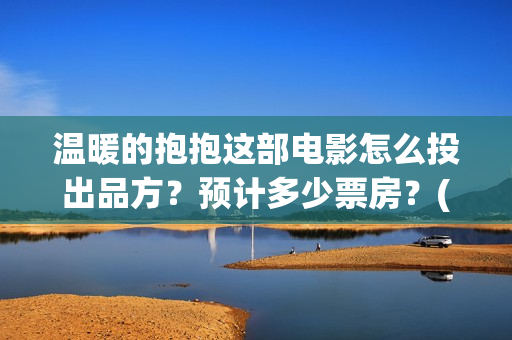 温暖的抱抱这部电影怎么投出品方？预计多少票房？(温暖的抱抱是什么剧情)