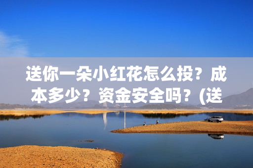 送你一朵小红花怎么投？成本多少？资金安全吗？(送你一朵小红花演员表)