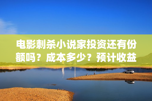 电影刺杀小说家投资还有份额吗？成本多少？预计收益？(电影刺杀小说家2免费观看完整版高清)