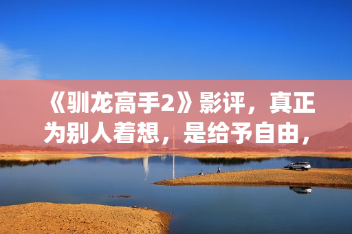 《驯龙高手2》影评，真正为别人着想，是给予自由，这才是真的爱(驯龙高手2英文版免费观看完整版)