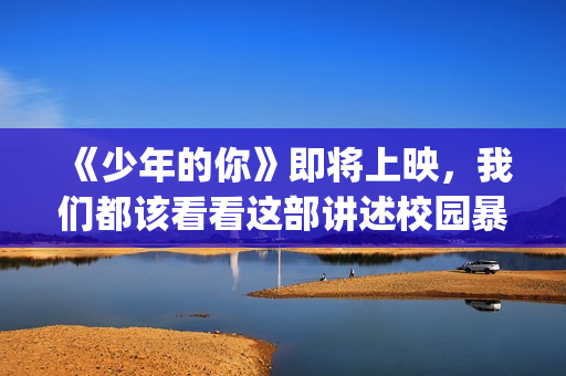 《少年的你》即将上映，我们都该看看这部讲述校园暴力的电影(少年的你原片)