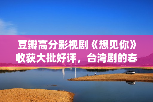 豆瓣高分影视剧《想见你》收获大批好评，台湾剧的春天又来了？(豆瓣高分影视剧有哪些)