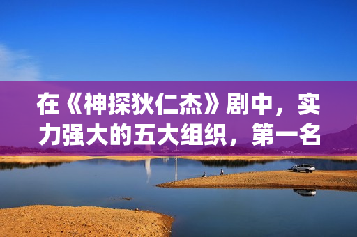 在《神探狄仁杰》剧中，实力强大的五大组织，第一名险些推翻朝廷(神探狄仁杰再聚首)