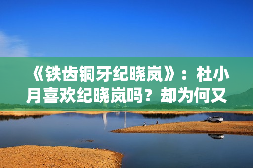 《铁齿铜牙纪晓岚》：杜小月喜欢纪晓岚吗？却为何又两次嫁人？(《铁齿铜牙纪晓岚》片头曲)