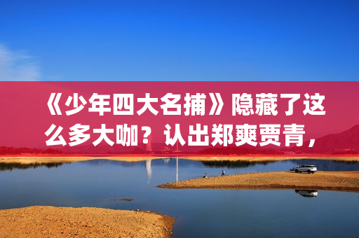 《少年四大名捕》隐藏了这么多大咖？认出郑爽贾青，却没认出她！(少年四大名捕林峰)