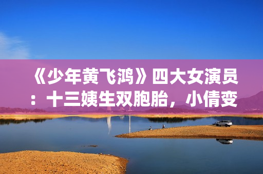 《少年黄飞鸿》四大女演员：十三姨生双胞胎，小倩变美，最红是她(少年黄飞鸿之铁马骝免费观看)