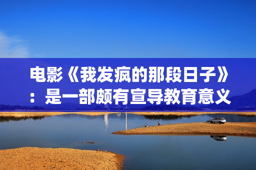 电影《我发疯的那段日子》：是一部颇有宣导教育意义的好作品！(我发疯了)