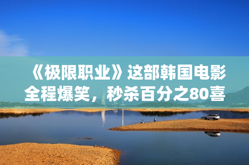 《极限职业》这部韩国电影全程爆笑，秒杀百分之80喜剧片！(极限职业讲的是什么)