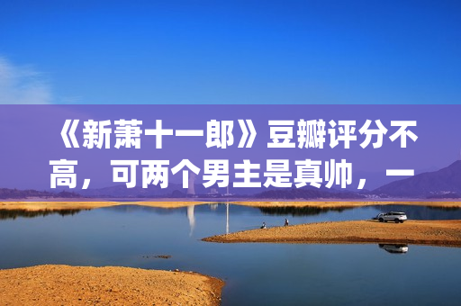 《新萧十一郎》豆瓣评分不高，可两个男主是真帅，一个比一个养眼(新萧十一郎 电视剧)