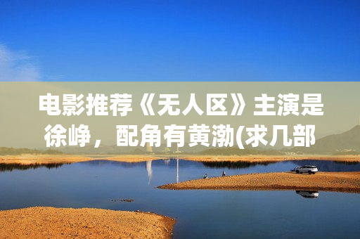 电影推荐《无人区》主演是徐峥，配角有黄渤(求几部无人区的电影)