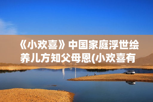 《小欢喜》中国家庭浮世绘 养儿方知父母恩(小欢喜有多火)