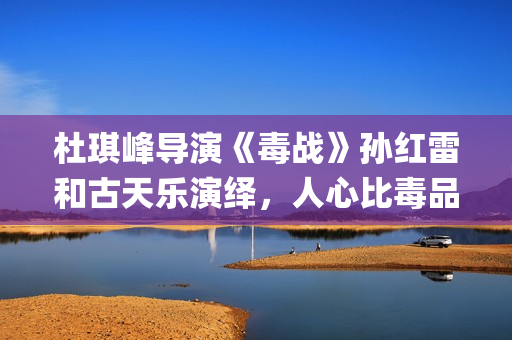 杜琪峰导演《毒战》孙红雷和古天乐演绎，人心比毒品更可怕(杜琪峰的电影大全)