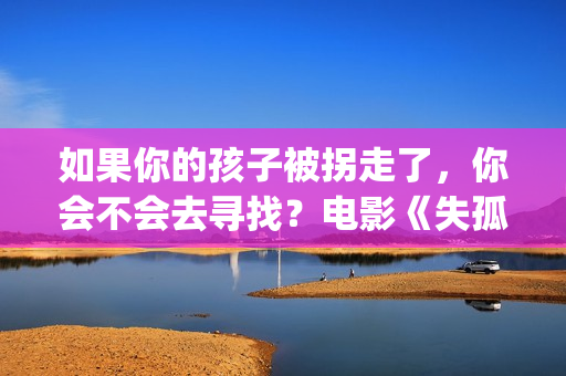 如果你的孩子被拐走了，你会不会去寻找？电影《失孤》解析评价(如果你的孩子被孤立了该怎么做)