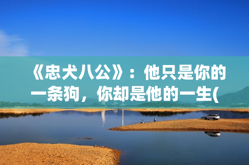 《忠犬八公》：他只是你的一条狗，你却是他的一生(忠犬八公导演是谁)
