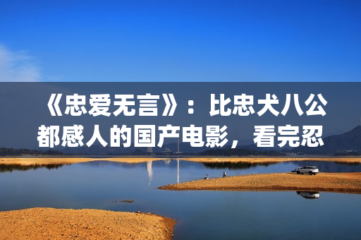 《忠爱无言》：比忠犬八公都感人的国产电影，看完忍不住的飙泪！(忠爱无言免费观看全集超清)