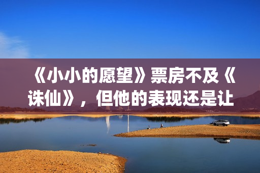 《小小的愿望》票房不及《诛仙》，但他的表现还是让我忍不住称赞(小小的愿望结局)