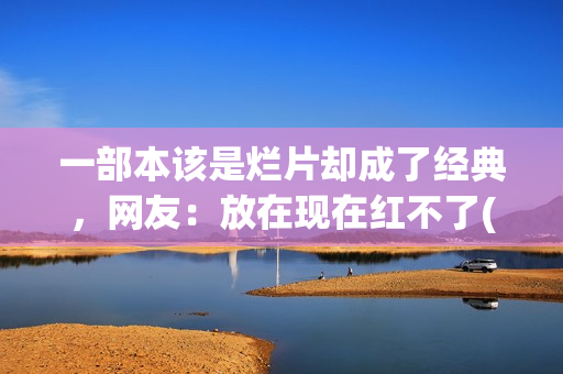 一部本该是烂片却成了经典，网友：放在现在红不了(一部本该是烂片的电视剧)