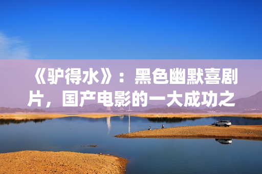 《驴得水》：黑色幽默喜剧片，国产电影的一大成功之作！(驴得水背后深层含义)
