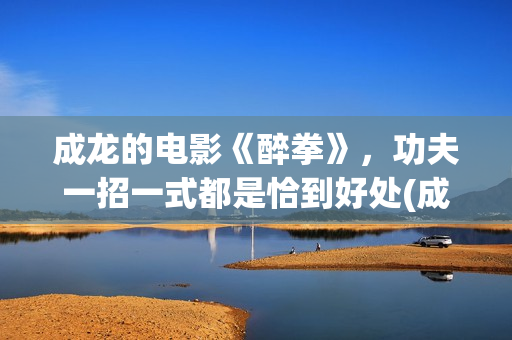 成龙的电影《醉拳》，功夫一招一式都是恰到好处(成龙演的醉拳演员表)