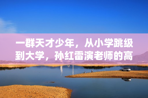 一群天才少年，从小学跳级到大学，孙红雷演老师的高分小众电影(一群天才少年的小说)