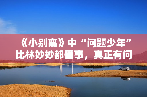 《小别离》中“问题少年”比林妙妙都懂事，真正有问题却是父母们