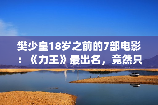 樊少皇18岁之前的7部电影：《力王》最出名，竟然只卖214万港币(樊少皇年龄多大)
