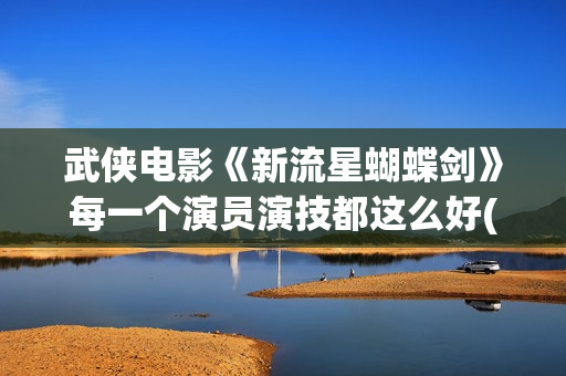 武侠电影《新流星蝴蝶剑》每一个演员演技都这么好(新流星蝴蝶剑 在线播放)