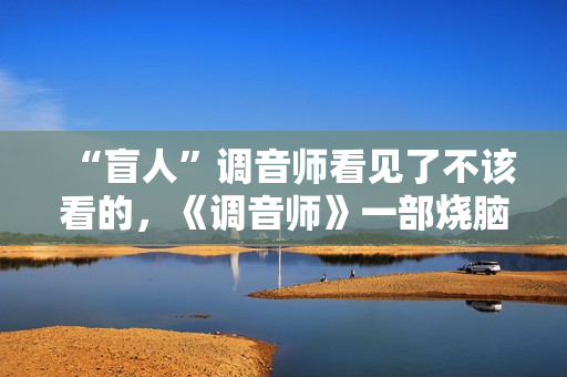 “盲人”调音师看见了不该看的，《调音师》一部烧脑悬疑片