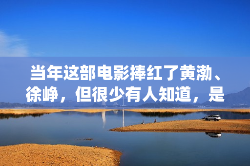 当年这部电影捧红了黄渤、徐峥，但很少有人知道，是刘德华投资的(当红电影)