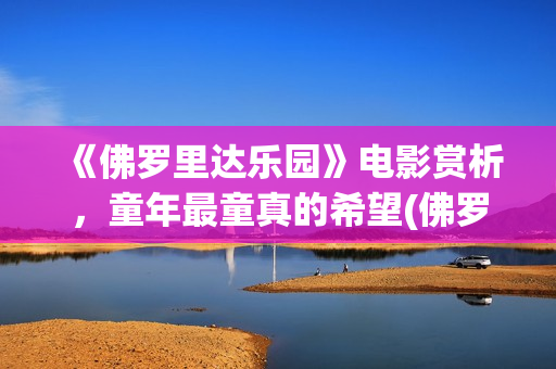 《佛罗里达乐园》电影赏析，童年最童真的希望(佛罗里达乐园解析)