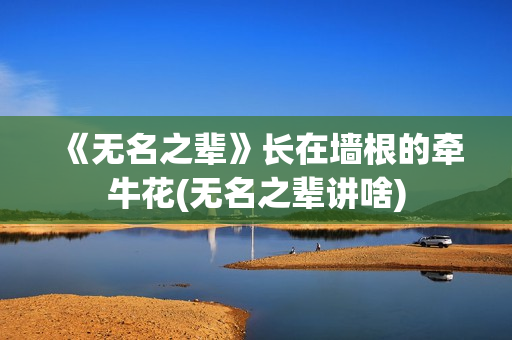 《无名之辈》长在墙根的牵牛花(无名之辈讲啥)