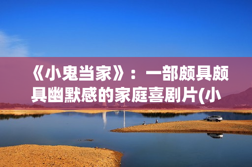 《小鬼当家》：一部颇具颇具幽默感的家庭喜剧片(小鬼当家2)