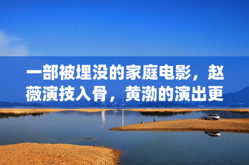 一部被埋没的家庭电影，赵薇演技入骨，黄渤的演出更是烙印级别(被埋没的作品)