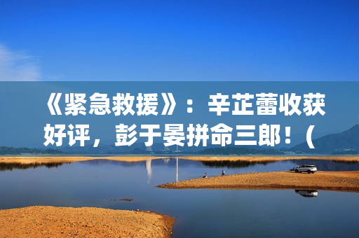《紧急救援》：辛芷蕾收获好评，彭于晏拼命三郎！(紧急救援协助异常 宝马)