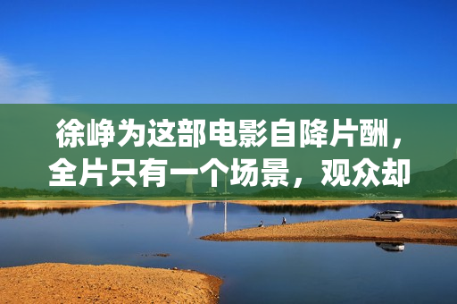 徐峥为这部电影自降片酬，全片只有一个场景，观众却从头笑到尾(徐峥电影片段)