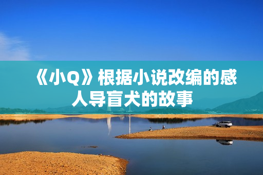《小Q》根据小说改编的感人导盲犬的故事