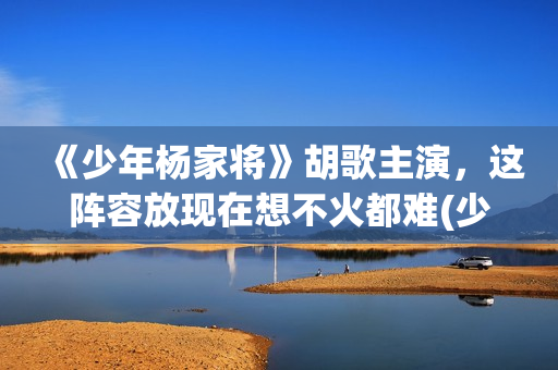 《少年杨家将》胡歌主演，这阵容放现在想不火都难(少年杨家将剧情介绍)
