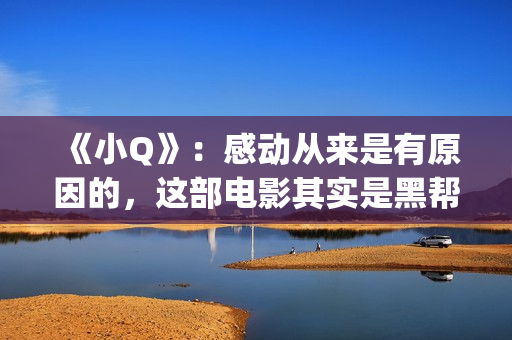 《小Q》：感动从来是有原因的，这部电影其实是黑帮片(电影小q里面的歌曲)
