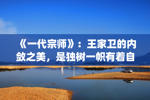 《一代宗师》：王家卫的内敛之美，是独树一帜有着自己独特味道的(一代宗师演员表)