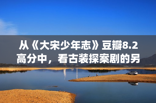 从《大宋少年志》豆瓣8.2高分中，看古装探案剧的另一种发展方向(大宋少年志?)
