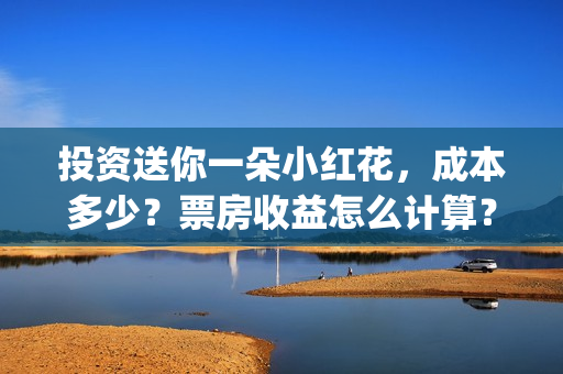投资送你一朵小红花，成本多少？票房收益怎么计算？(投资送你一朵小红花骗局)